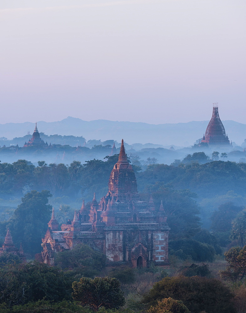 View of Temples at dawn, Bagan (Pagan), Mandalay Region, Myanmar (Burma), Asia