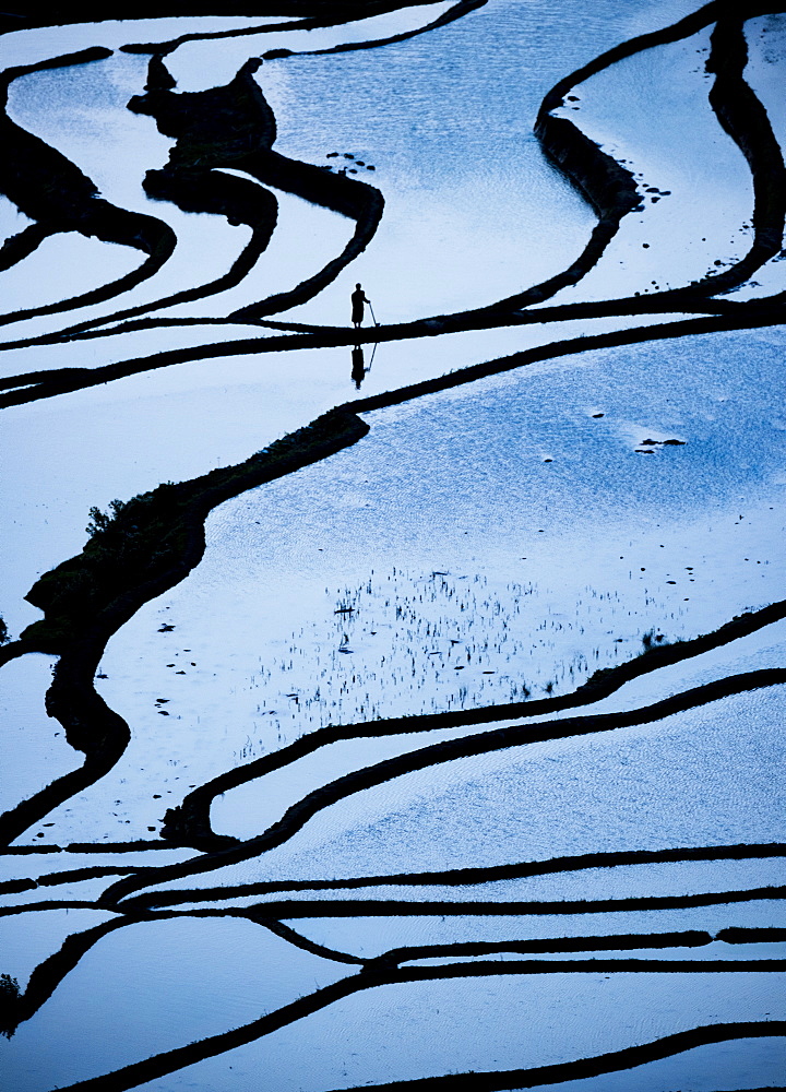 Duoyishu Rice Terraces at dawn, UNESCO World Heritage Site, Yuanyang, Yunnan Province, China, Asia