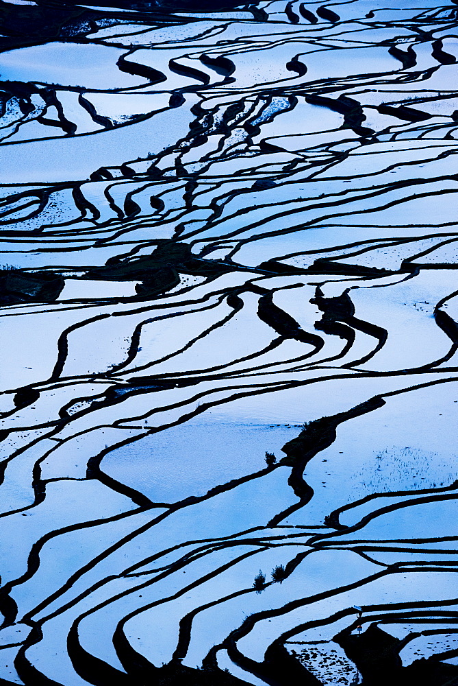 Duoyishu Rice Terraces at dawn, UNESCO World Heritage Site, Yuanyang, Yunnan Province, China, Asia