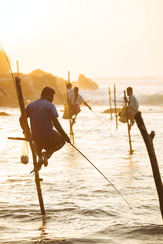 Stilt Fishermen at dawn, Weligama, South Coast, Sri Lanka, Asia