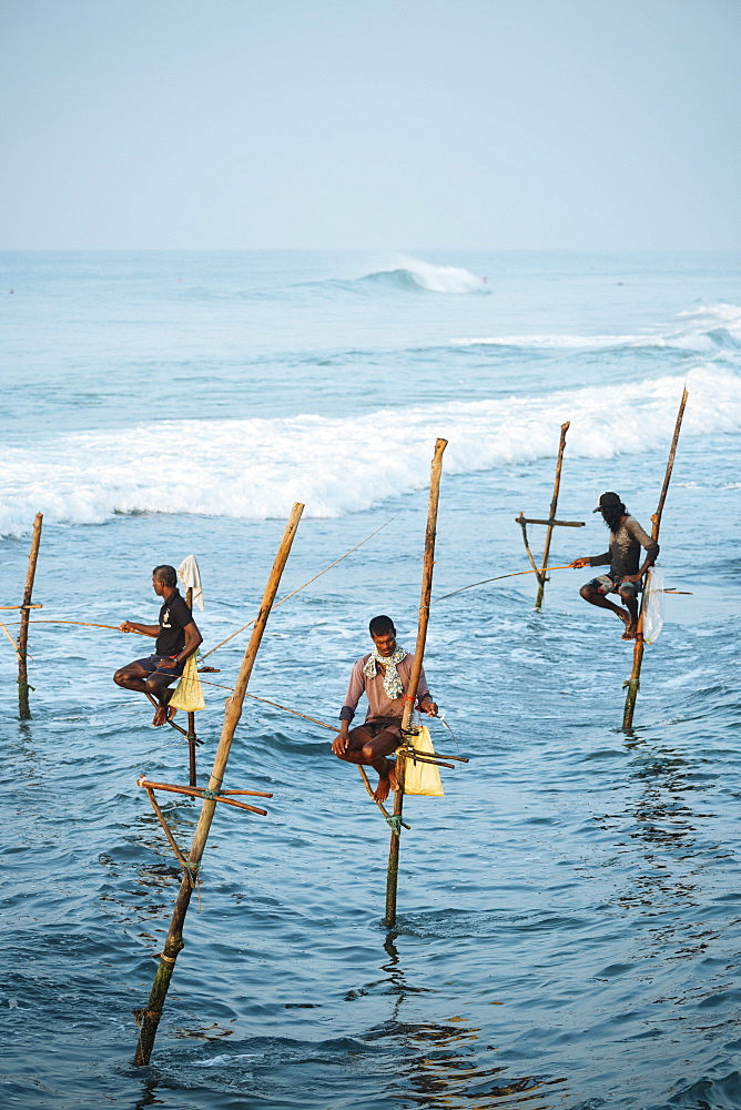 Stilt Fishermen at dawn, Weligama, South Coast, Sri Lanka, Asia