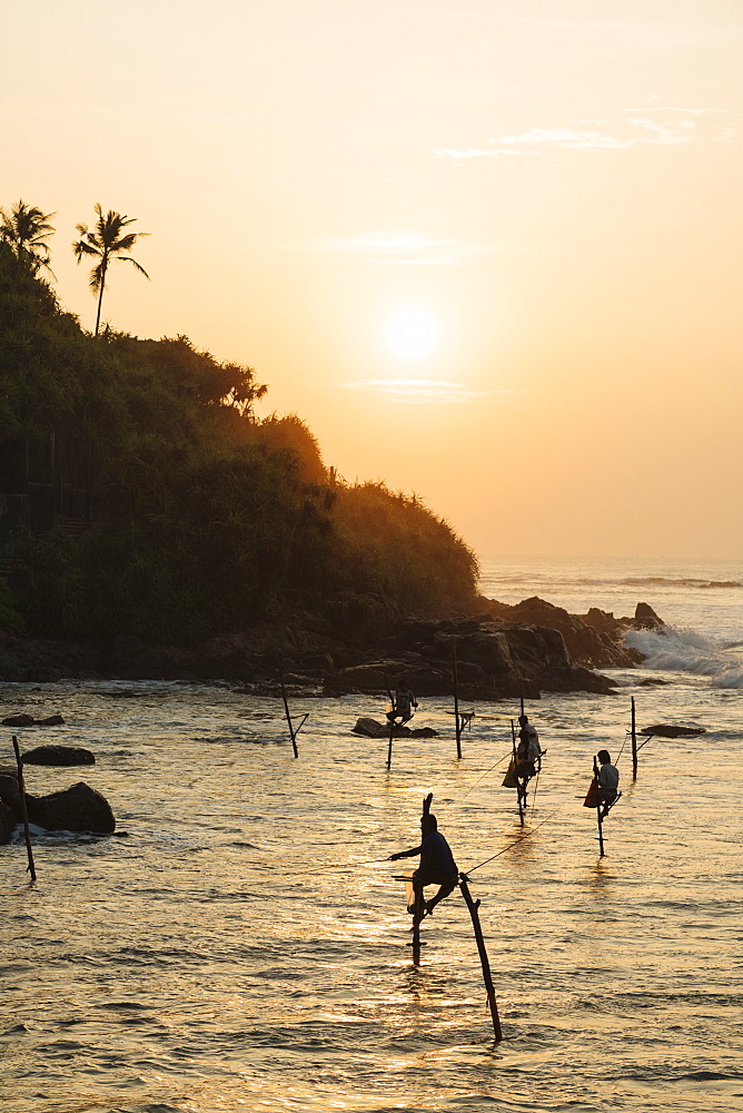 Stilt Fishermen at dawn, Weligama, South Coast, Sri Lanka, Asia