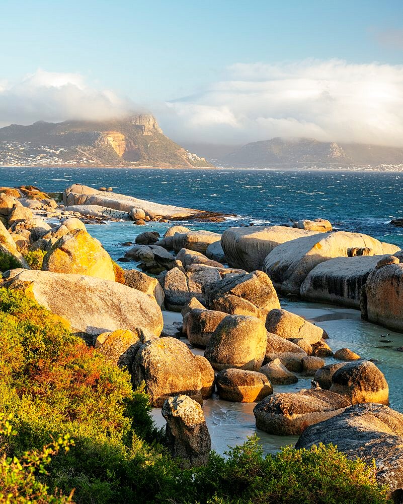 Boulders Beach, Cape Town, Western Cape, South Africa