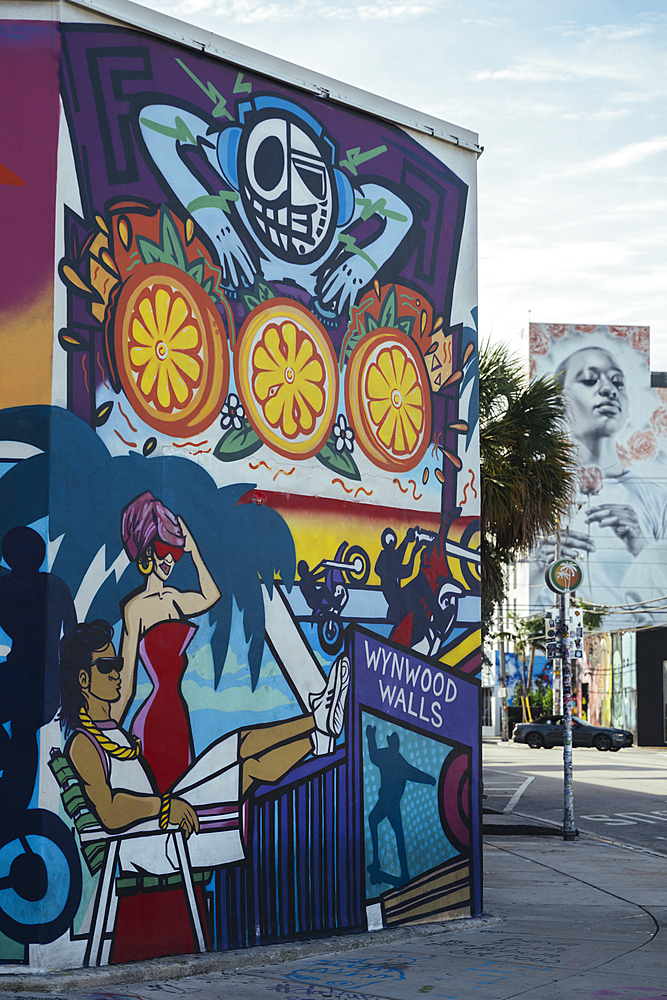 Wall Murals, Wynwood District, Miami, Dade County, Florida, United States of America, North America