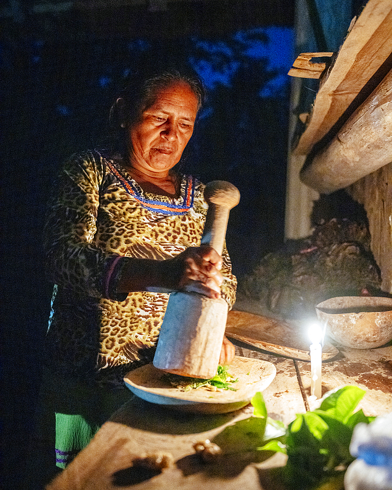 Guayusa Upina Ceremony, Sinchi Warmi, Amazonia, Napo Province, Ecuador