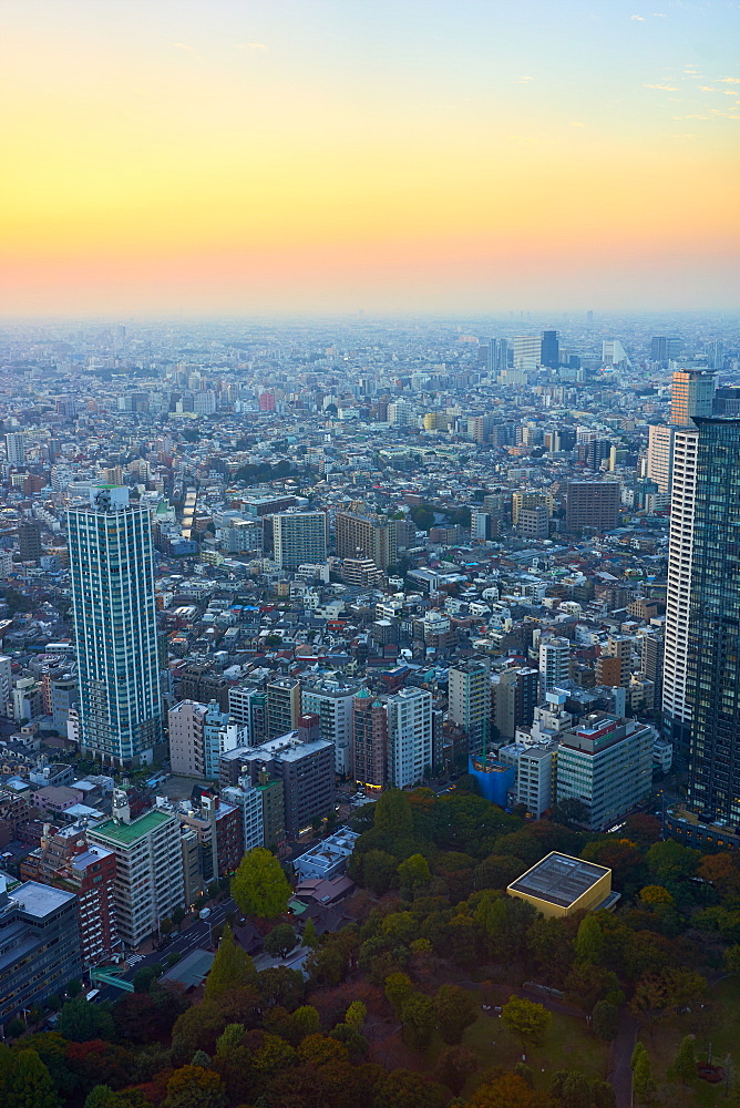 Cityscape view at sunset from the Tokyo Metropolitan Government Building, Tokyo, Japan, Asia