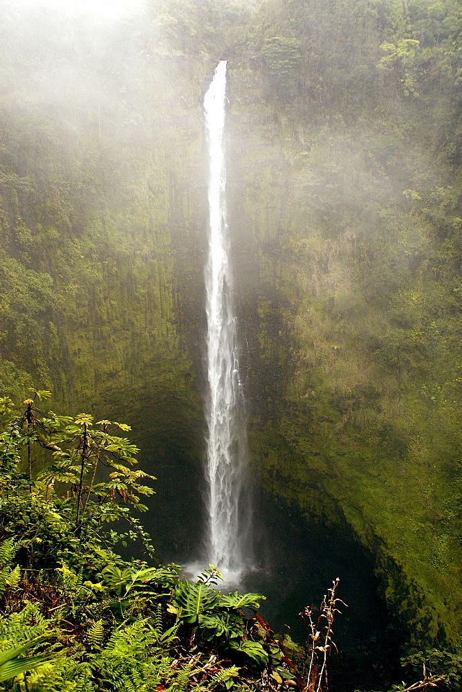 Akaka Falls, Big Island, Hawaii, United States of America, Pacific