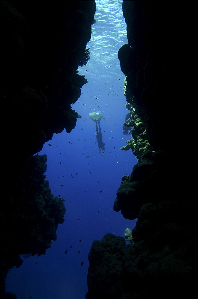 Sara Campbell world Champion freediver running freediving courses in Dahab. Egypt.