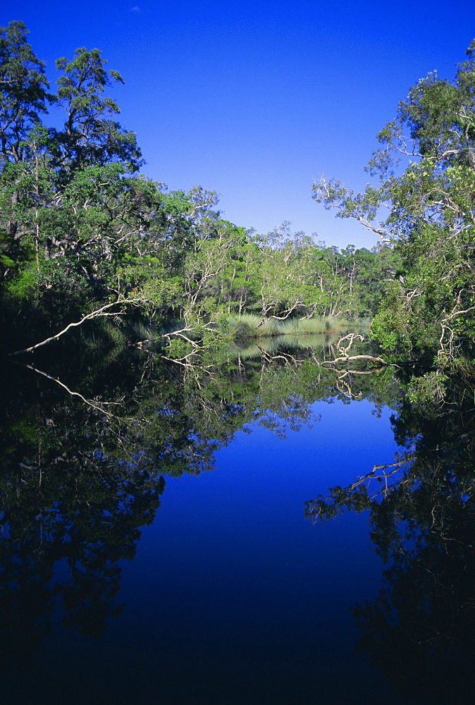 Everglades, Noosa, Queensland, Australia