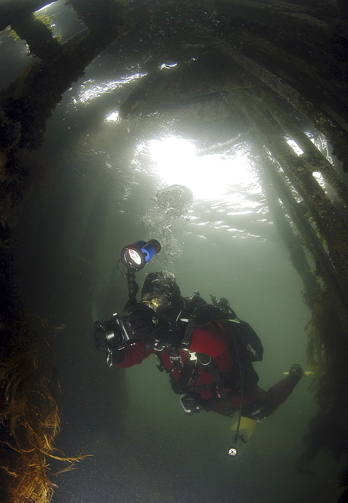 Diver inside British Blockship FC Pontoon, Scapa Flow, Orkney islands, Scotland, UK