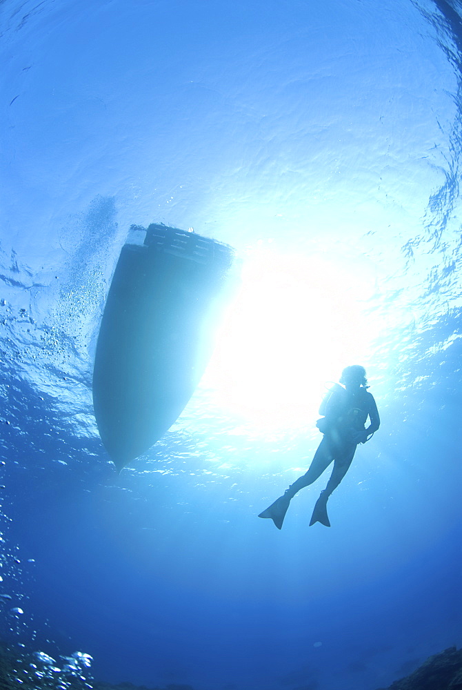 Diver and Dive Boat silhouette, Cuba, Caribbean