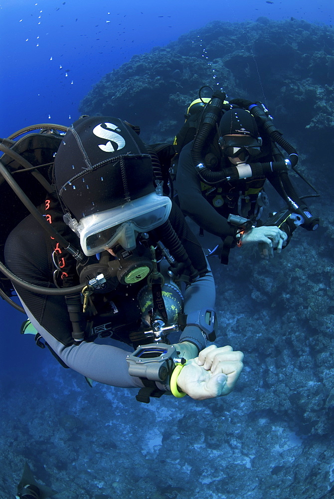 Technical Divers using Trimix, Rebreathers and technical diving equipment, Divetech, Grand Cayman, Cayman Islands, Caribbean