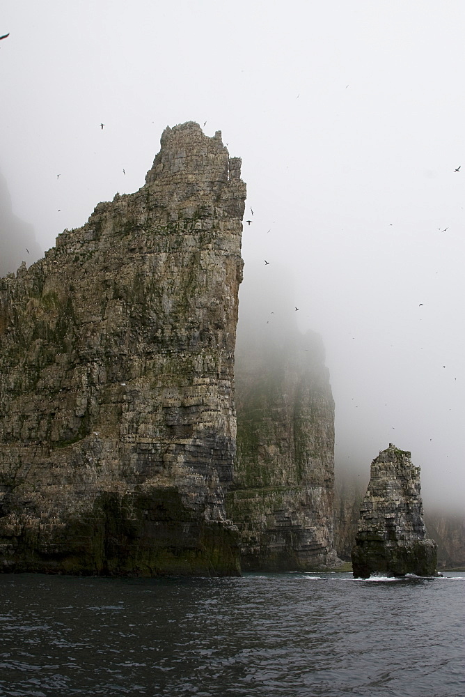 The Fuglefjellet cliffs (411m) on Bear Island (BjÂ¯rnÂ¯ya) in the Svalbard Archipeligo form the highest seabird cliffs in the North Atlantic Ocean. 