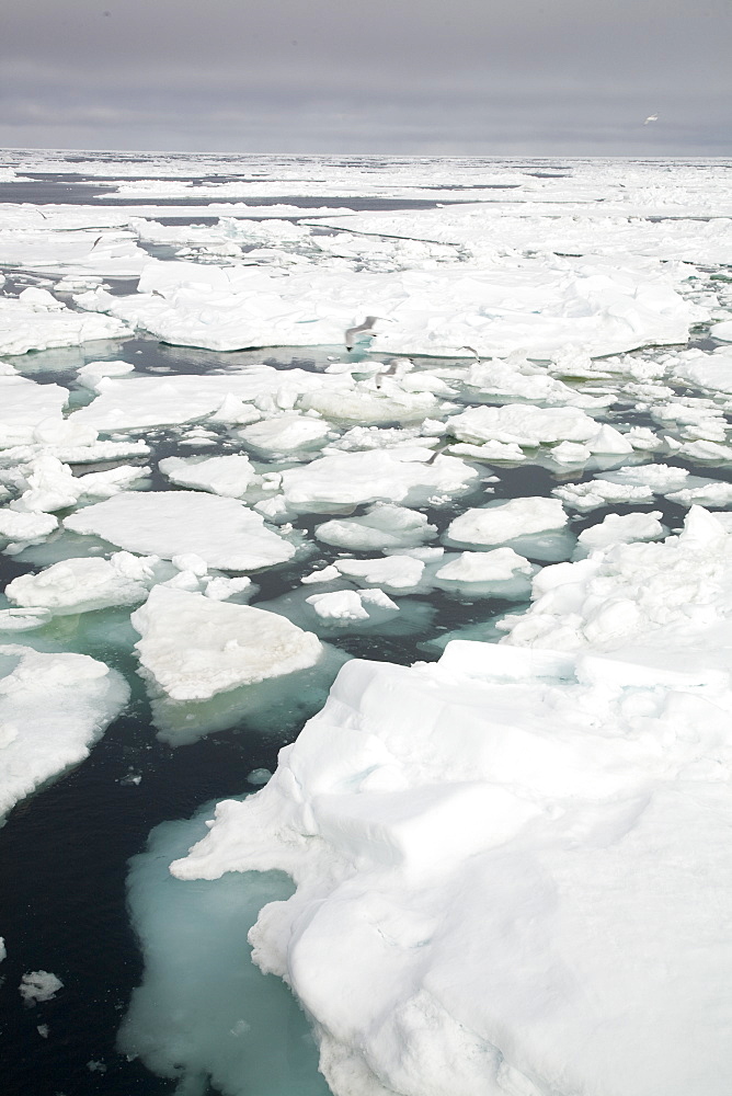 Open leads surrounded by multi-year ice floes in the Barents Sea between EdgeÂ¯ya (Edge Island) and Kong Karls Land in the Svalbard Archipelago, Norway.