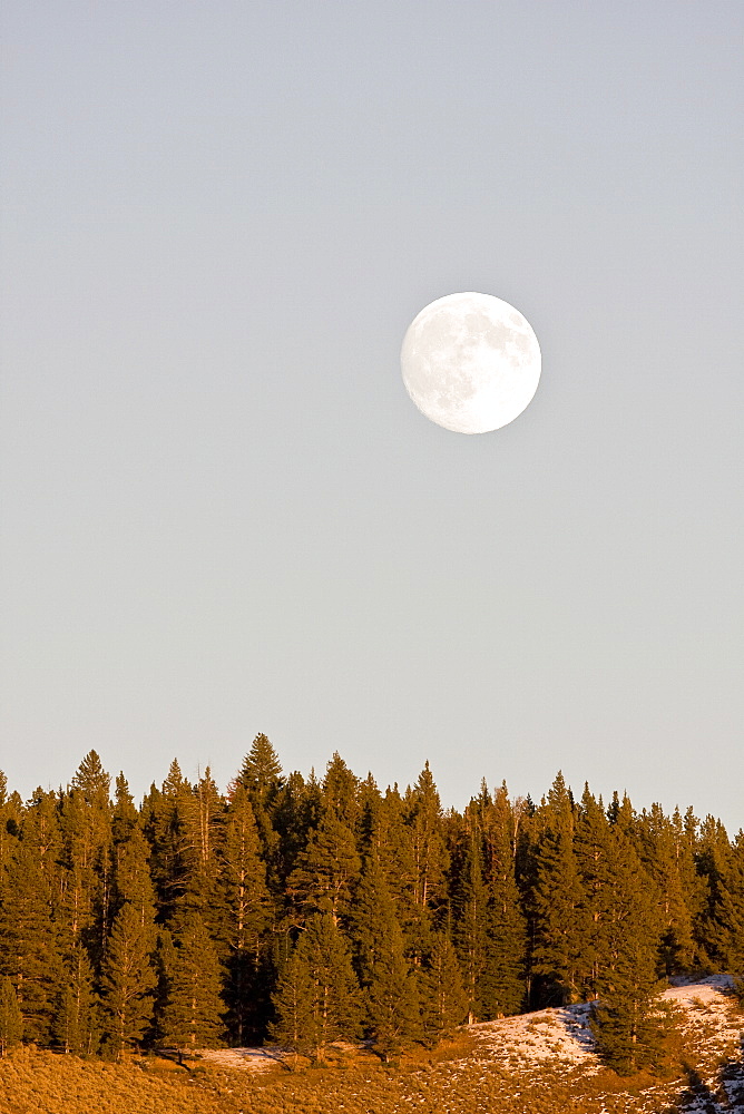 A full moon rising over the Haden Valley in Yellowstone National Park.in the late fall.