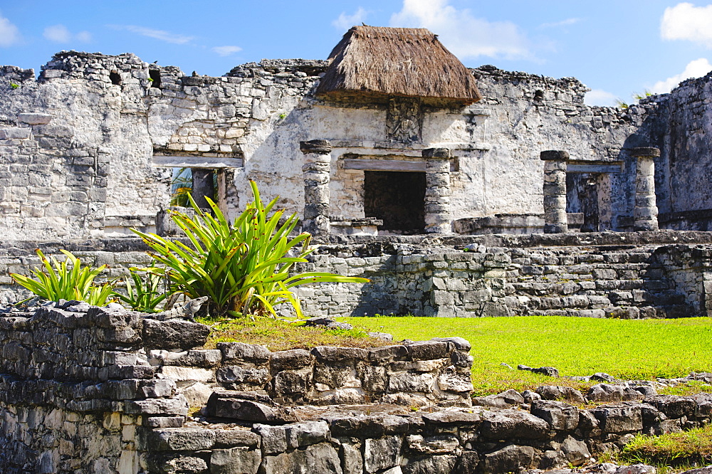 Ancient Mayan ruins