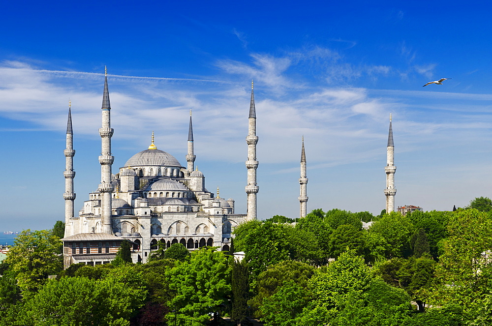 Turkey, Istanbul, Blue Mosque 