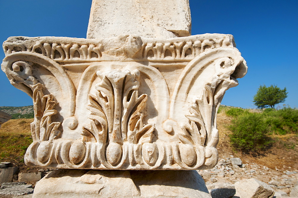 Turkey, Ephesus, Corinthian column