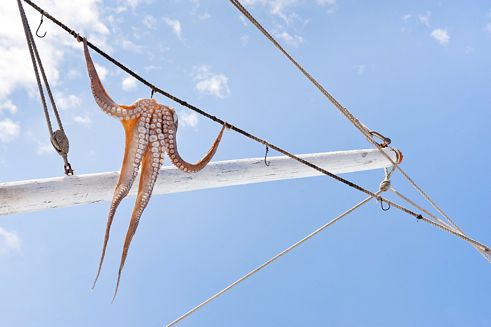 Greece, Cyclades Islands, Mykonos, Sun drying octopus on fishing boat