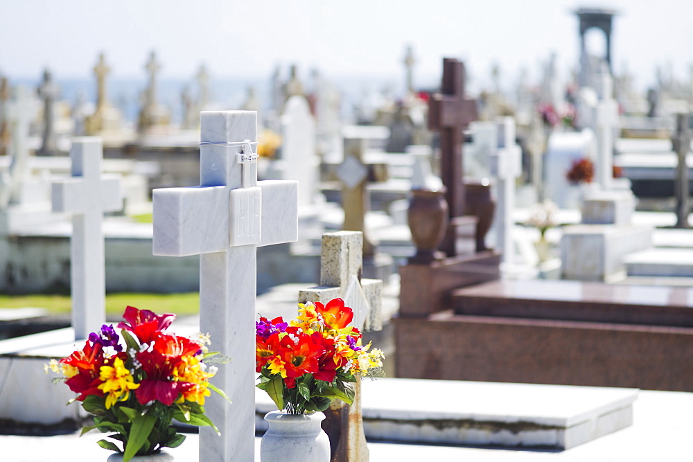 Puerto Rico, Old San Juan, Garves at Santa Maria Magdalena Cemetery