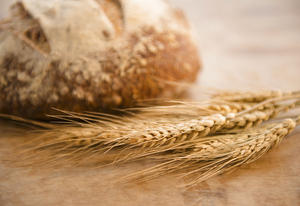 Close-up of corn ear and loaf of bread