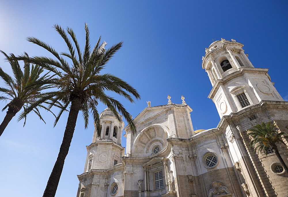 Palm trees in front of Cathedral, Cadiz, Spain