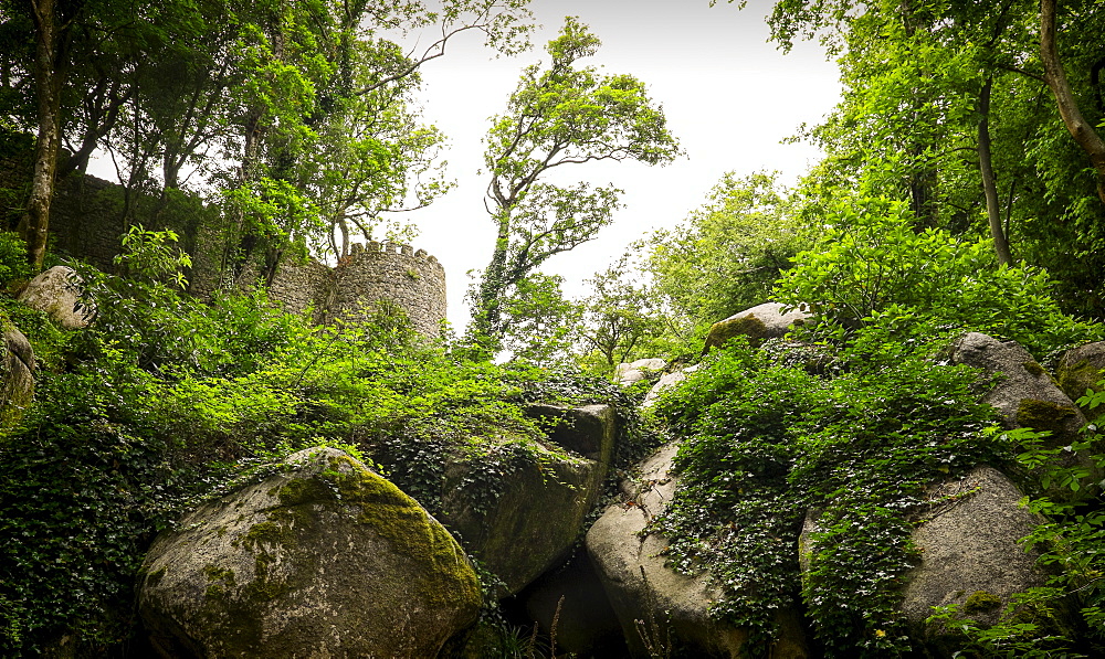 View of Moorish Castle, Sintra, Portugal