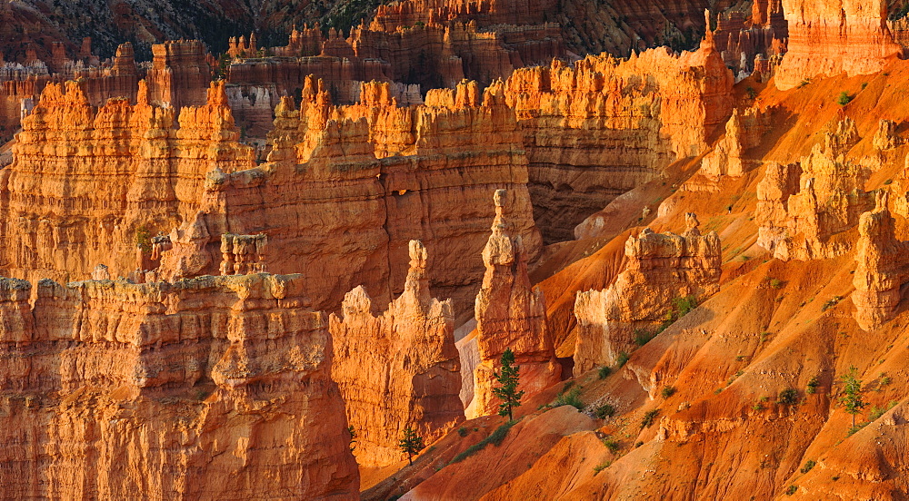 Bryce Amphitheater, USA, Utah, Bryce Canyon