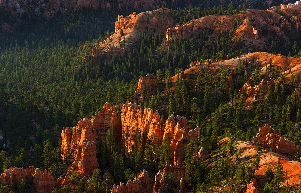 Bryce Amphitheater, USA, Utah, Bryce Canyon