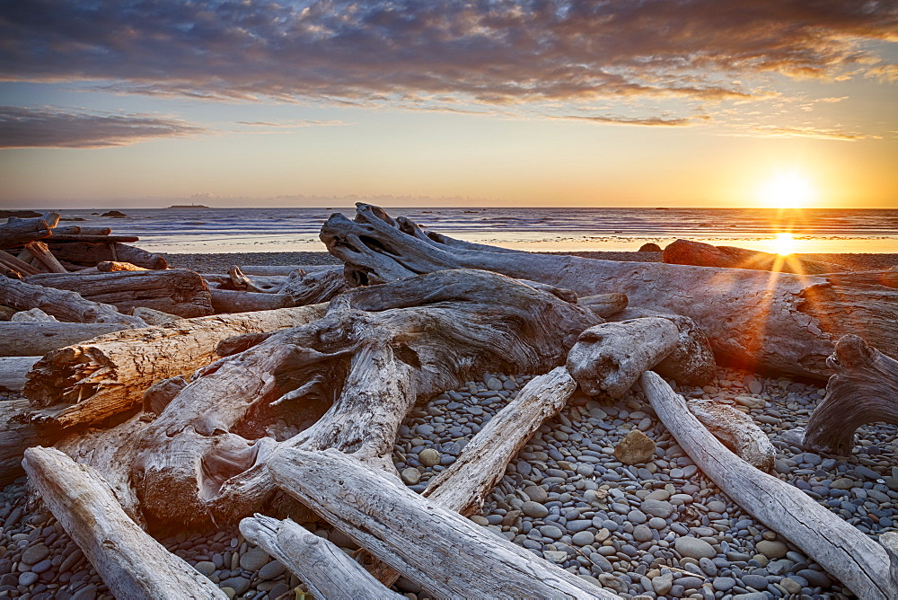 Driftwood on beach, Olympic National Park, Washington