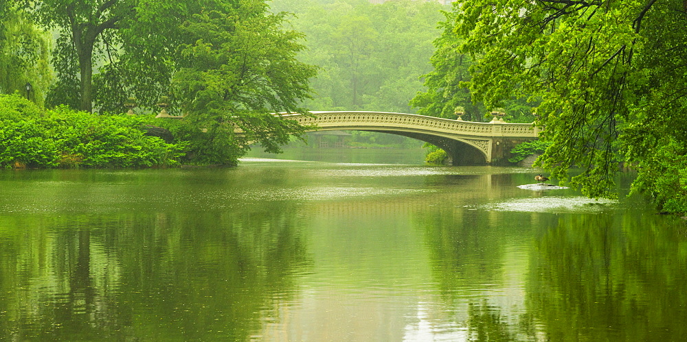 Bridge in central park, Central Park, New York City