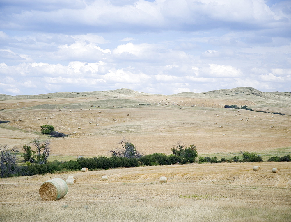 Hay bales southern Montana USA