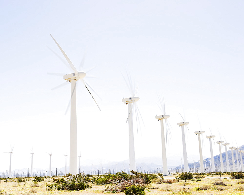 USA, California, Palm Springs, Coachella Valley, San Gorgonio Pass, Wind turbines with mountains in background