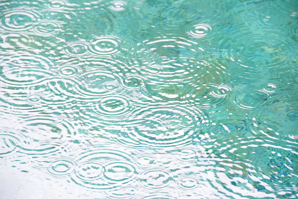 Raindrops on falling on pond surface