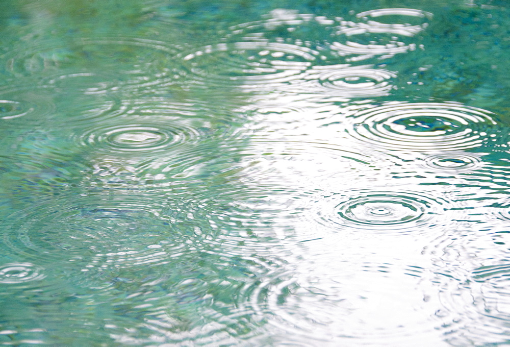 Raindrops on falling on pond surface