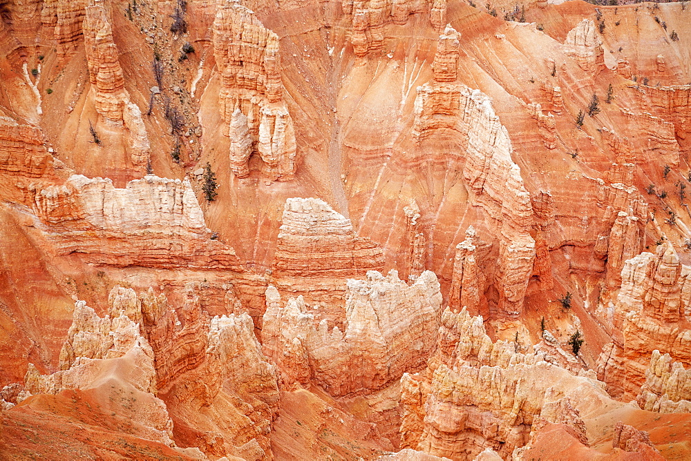 Cedar Breaks National Monument, Point Supreme, Eroded rock formations, Point Supreme, Cedar Breaks National Monument, Utah