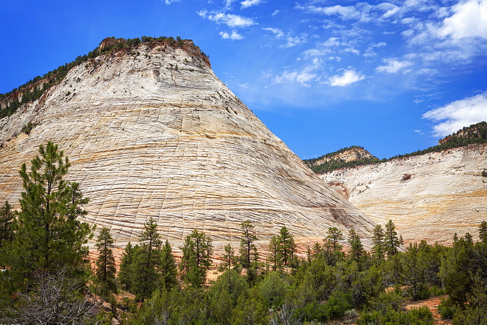 Checkerboard Mesa, Mountains, Checkerboard Mesa, Zion National Park, Utah