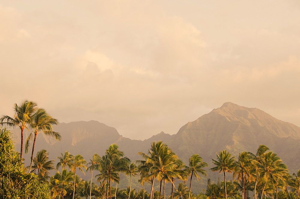 Landscape with palm trees, USA, Hawaii, Kauai, Hanalei Bay