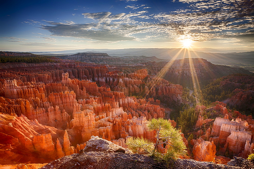 Sandstone formations at sunset, Sunrise in Bryce Canyon National Park, Utah