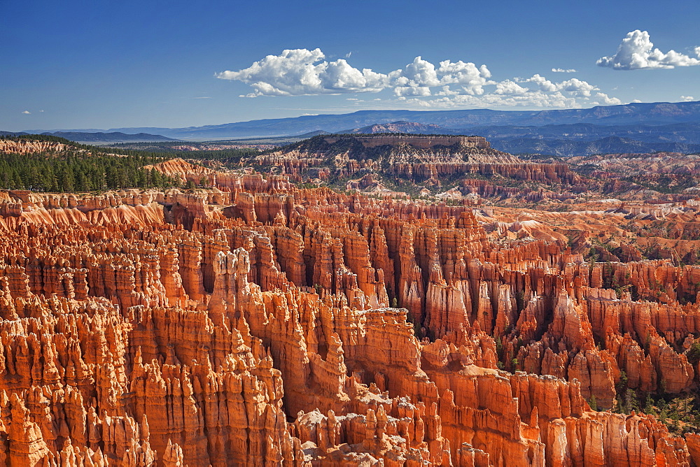 Sandstone formations, Bryce Canyon National Park, Utah