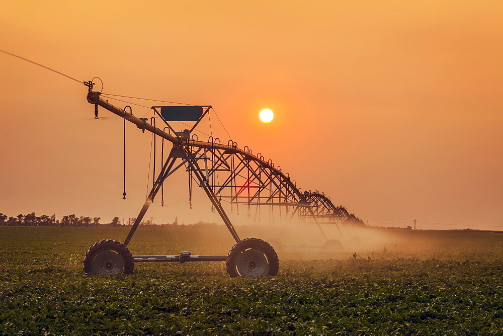 Silhouette of irrigation system with sun setting in the background, Alliance, Nebraska