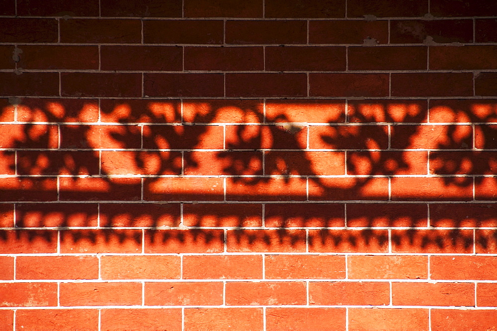 Shadow of railing on brick wall, USA, Louisiana, New Orleans