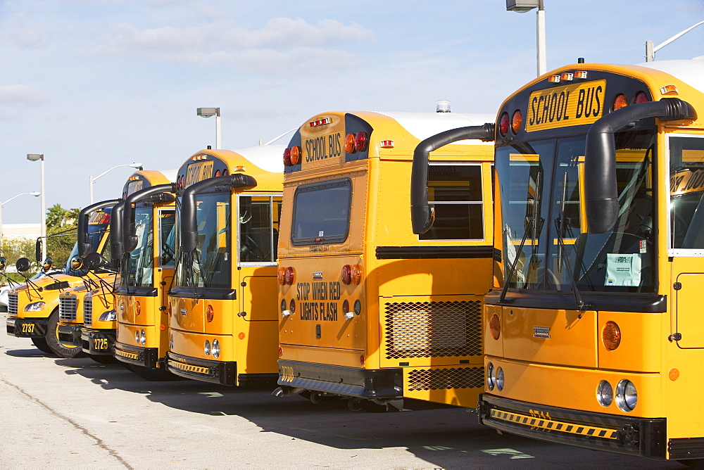 Row of school buses