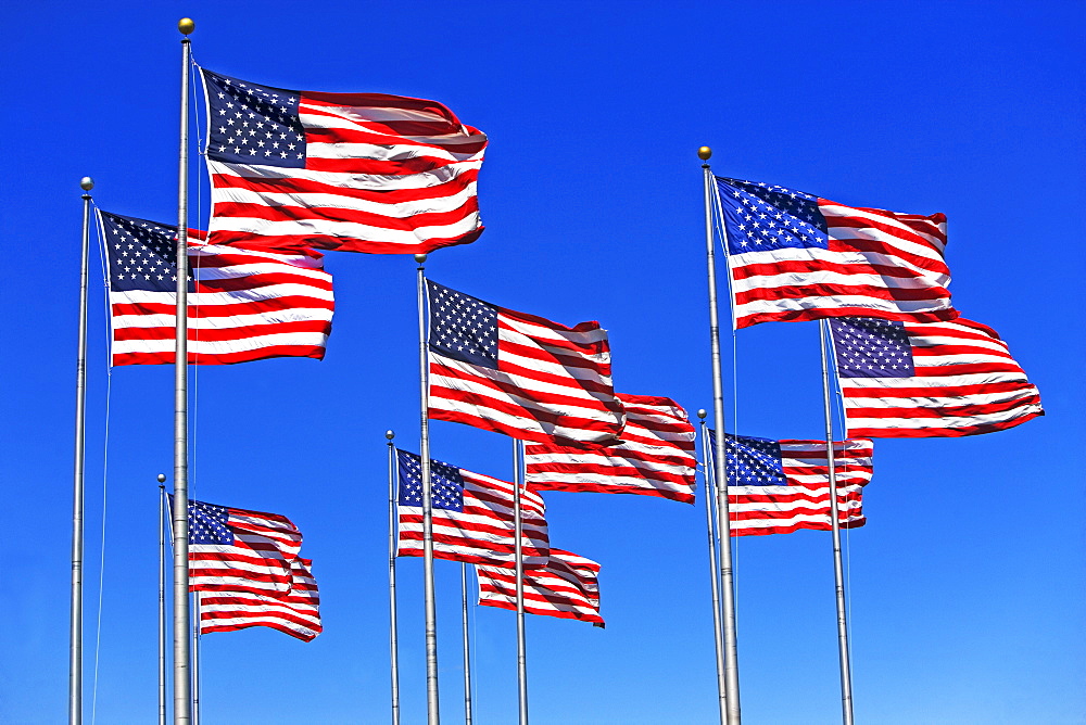 American flags