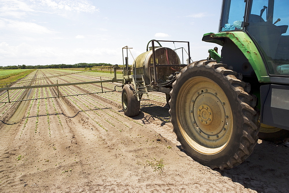 Tractor spraying field, Florida, United States