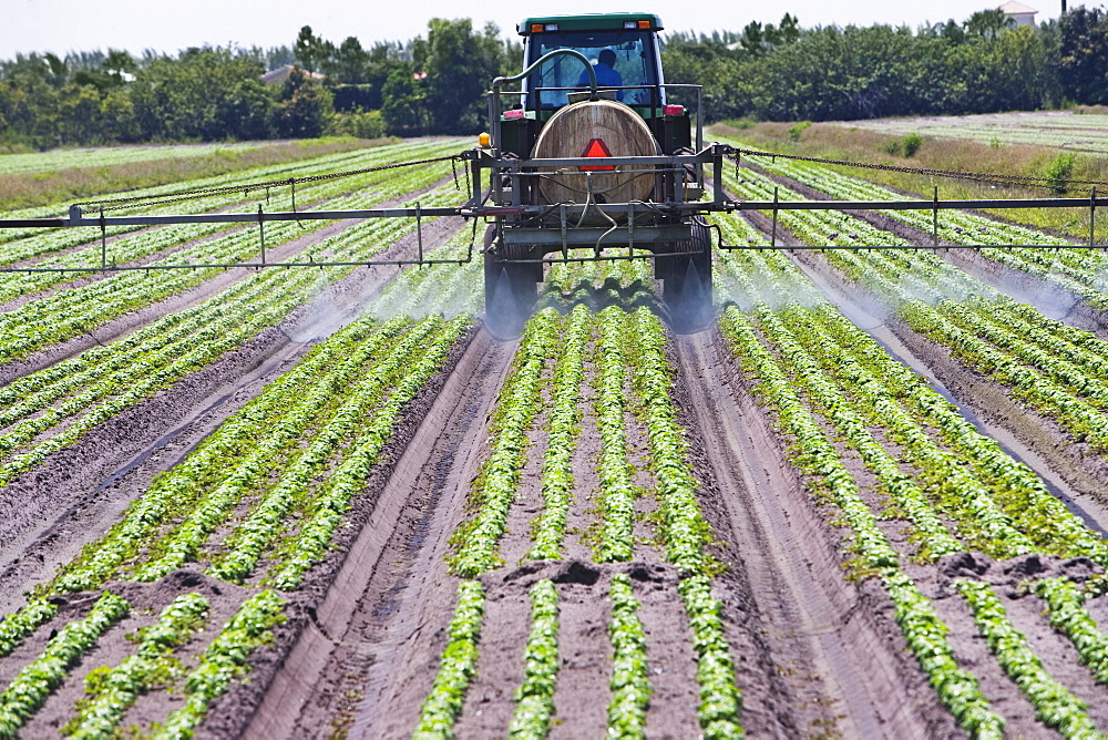 Tractor spraying field, Florida, United States