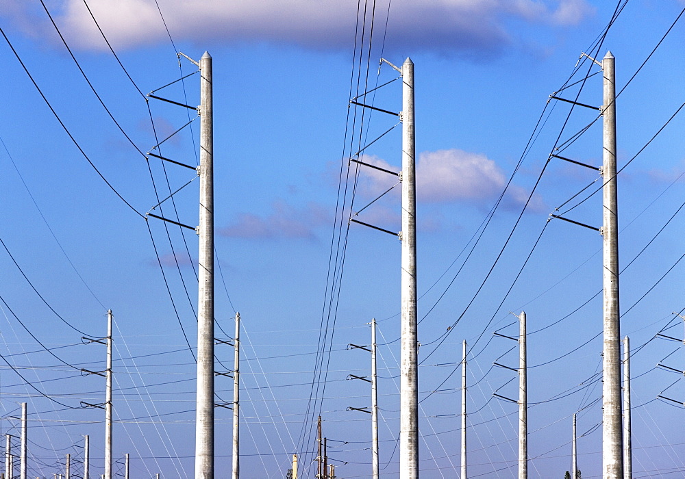 Communication tower and power lines