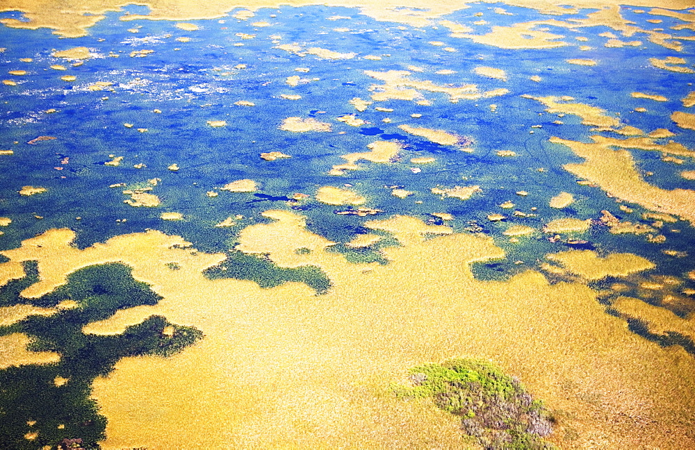 Aerial view of marsh