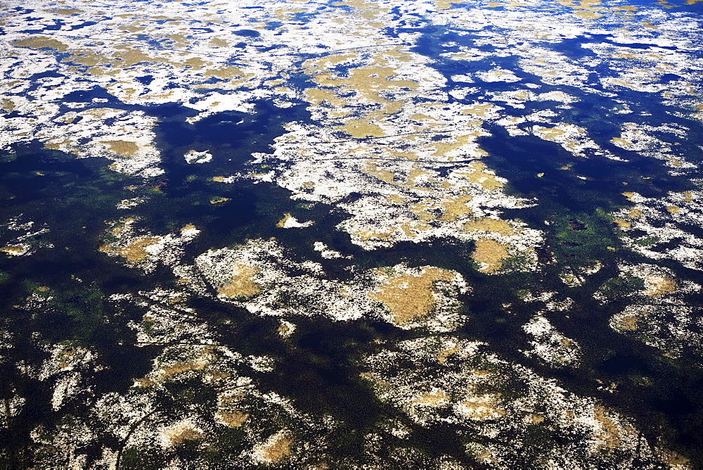 Aerial view of marsh