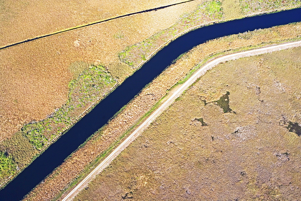 Aerial view of marsh